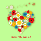 Fleurs colorées pour fêter maman avec amour